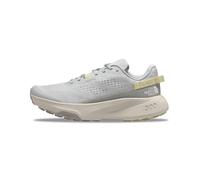 The North Face Altamesa 300 Zapatillas de Trail Running para Hombre Glacier Gray/Soapstone 40.5