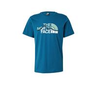 THE NORTH FACE Camiseta 'Mountain Line' azul real / verde pastel / negro / blanco L azul real / verde pastel / negro / blanco
