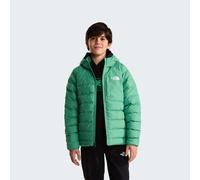 THE NORTH FACE Chaqueta acolchada con capucha Perrito. Color Verde