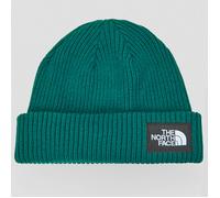 The North Face Gorro SALTY LINED BEANIE in Verde única