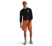 THE NORTH FACE NF0A8C1J6D2 M Box NSE Regular Short Shorts Hombre Iron Bronze-TNF Black Tamaño XS