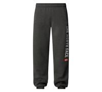 The North Face Pant Varsity Graphic Pantalones Deportivos para Hombre TNF Medium Grey Heather S