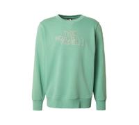 THE NORTH FACE Sudadera 'DREW PEAK' beige / verde XL beige / verde