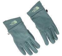 THE NORTH FACE TNF Rino Dark Sage - Guante (tamaño L)