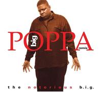The Notorious B.I.G. Big Poppa (Remix) (Vinyl)
