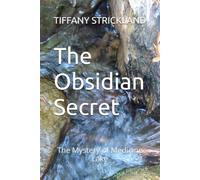 The Obsidian Secret: The Mystery of Medicine Lake (Lost Trail Adventures)