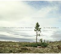 The Oldest Living Things in the World