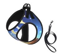 The Orb of Dreams - Arnés para perro, equipado con correas reflectantes y hebillas de liberación rápida, adecuado para gatos y perros pequeños