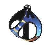The Orb of Dreams - Arnés para perro, equipado con correas reflectantes y hebillas de liberación rápida, adecuado para gatos y perros pequeños