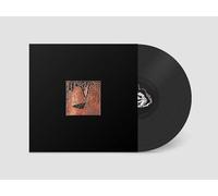 THE ORCHESTRA (FOR NOW) - PLAN 75 [Vinilo]