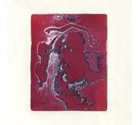 THE ORCHESTRA (FOR NOW) - PLAN 76 [Vinilo]