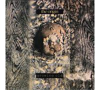 The Origin - Growing Old