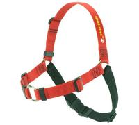 The Original Sense-ation No-Pull Dog Training Harness (Red, Medium)