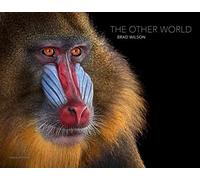 The other world. Animal portraits
