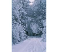 The Outside-First Year, Vol. I: A Winter of Clarity: A Daily Mindfulness Journal for Focus, Clarity, and Intentional Living