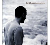 The Painter's Eye (US Import)