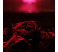 The Paper Kites - Roses [Vinilo]