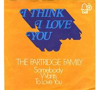 The Partridge Family: I Think I Love You [Vinyl]