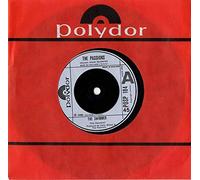 The Passions - The Swimmer