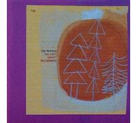 Pastels, the – Last Great Wilderness – Vinilo 12"