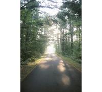 The Path: Our Journey to Faith