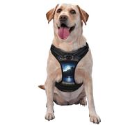 The Peak in Blue Eyes - Arnés para perro, equipado con correas reflectantes para mascotas y hebillas de liberación rápida, adecuado para todo tipo de perros