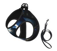 The Peak in Blue Eyes - Arnés para perro, equipado con correas reflectantes y hebillas de liberación rápida, adecuado para gatos y perros pequeños