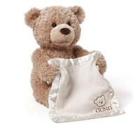 The Peek-A-Boo Teddy Bear