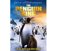 The Penguin King (DVD) [Reino Unido]