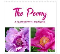 The peony a flower with meaning (Calendar 2026 12" x 24" / 30 x 60 cm (abierto) CALVENDO 12 Month Wall Calendar
