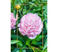 The Peony Portraits Journal (7x10 Lined Notebook) | Bloom & Vine Collection: Pink peony oil painting cover design, 100 lined pages, personalized title ... | Blooms on Vine × Vine Street Design Company