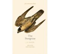The Peregrine: 50th Anniversary Edition