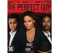 THE PERFECT GUY