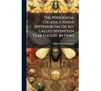 The Periodical Cicada, Cidada Septendecim, Or So-called Seventeen Year Locust, In Ohio