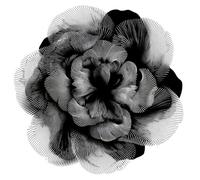The Petal Mirror - A Square Journal of Quiet Bloom: A meditative blank notebook for reflection, floral dreams, and unfolding thoughts.