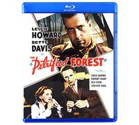 The Petrified Forest