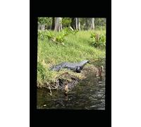 The Phantom Ship: And Other tales of The Unknown