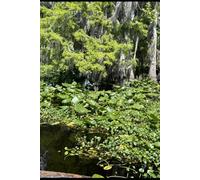 The Phantom Ship: And Other tales of The Unknown