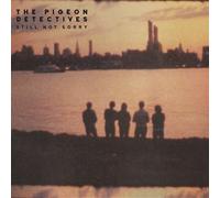 The Pigeon Detectives Still Not Sorry (Vinyl) 12" Album Coloured Vinyl