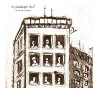 The Pineapple Thief - 10 Stories Down