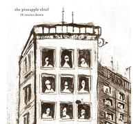 The Pineapple Thief - 10 Stories Down