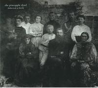 The Pineapple Thief Abducted at Birth (CD) Album