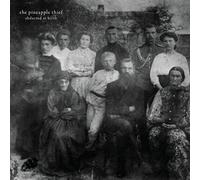 The Pineapple Thief Abducted at Birth (CD) Album