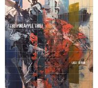Pineapple Thief,the - Last To Run [Vinilo]
