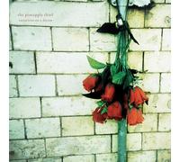 The Pineapple Thief - Variations On A Dream [Vinilo]