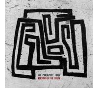 The Pineapple Thief Versions of the Truth (Vinyl) 12" Album (Importación USA)