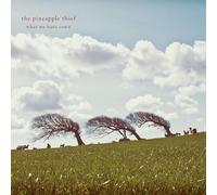 The Pineapple Thief - What We Have Sown