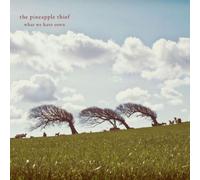 The Pineapple Thief What We Have Sown (CD) Album (Importación USA)
