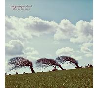 The Pineapple Thief - What We Have Sown (2 LP)