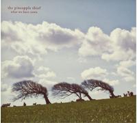 The Pineapple Thief - What We Have Sown [Vinilo]